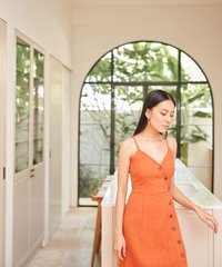 charlize-striped-overlay-midi-dress-melon-7