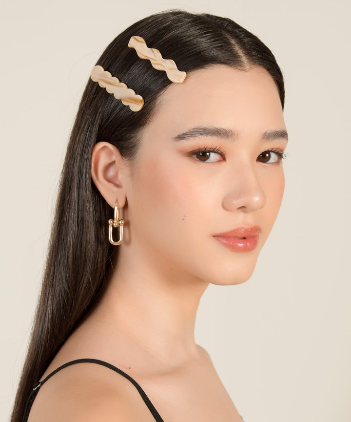 Biwi Barrette Acetate Clips